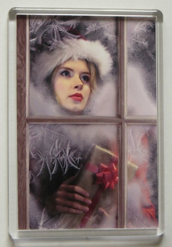 Personalised photo fridge - photo,