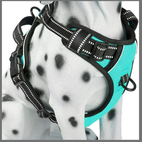 Imbracatura per cani - imbracatura, pull