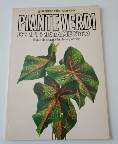 Piante verdi appartamento - piante,