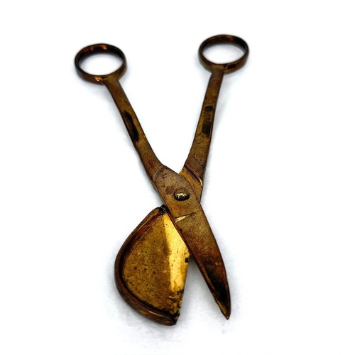 Forbici decespugliatore