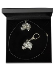 Pointer - Set - Il Cane Nella