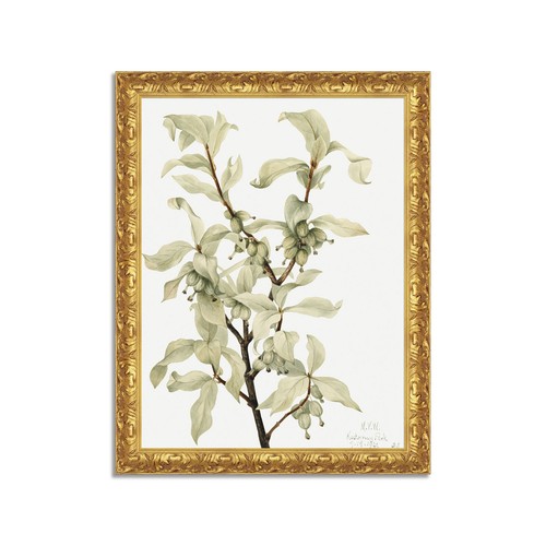 Quadro stampa tela effetto - su,