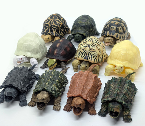 Bandai gashapon tartaruga - bandai,