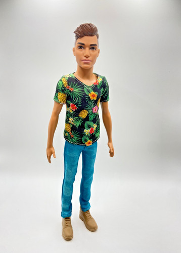 Barbie fashionistas ken 15 - fashionistas,