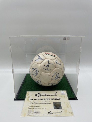 Bayern calcio squadra - fc,