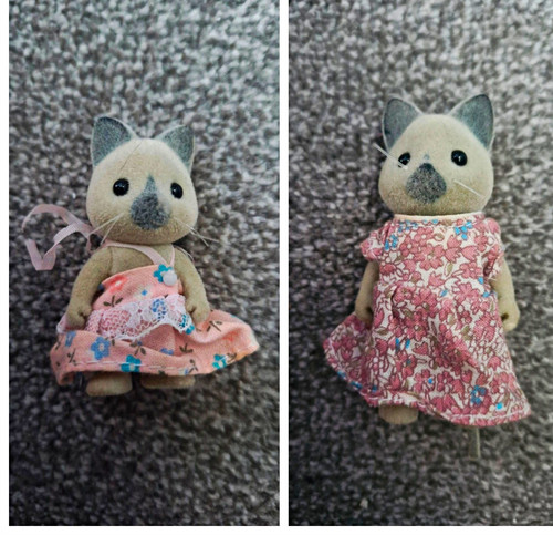 Personaggi gatto siamese