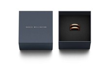 Anello doppio Daniel