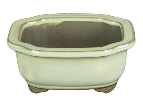 Vaso per bonsai - , giapponese