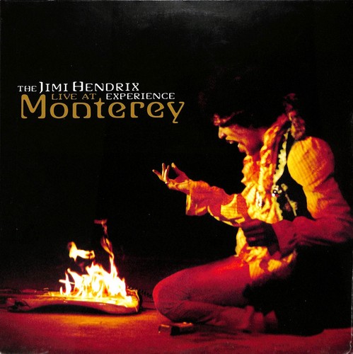 The jimi hendrix - the,