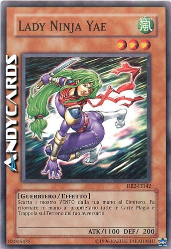 Lady ninja yae - lady, •