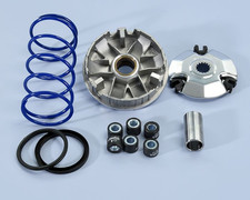 241.676 variatore polini