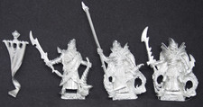 Warhammer Fantasy Dark Elves Elf Corsair Standard Musician Troop metal OOP