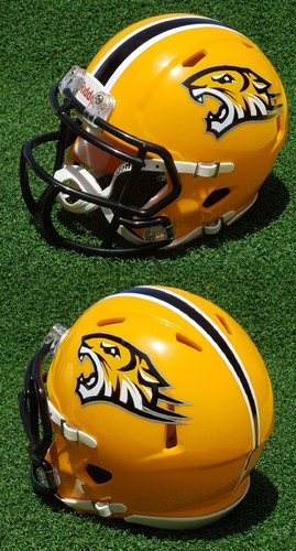Towson tigers 2004 mini - towson, 2004-08
