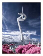 Servizio di conversione IR Panasonic G1 G2 G3 G5 G10 GX1 GF1 GF2 GF3 GF5 GF6 GH1