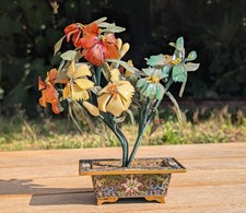 Antico albero cinese XX secolo