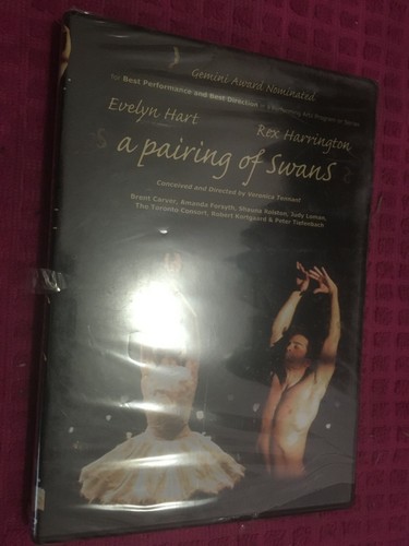 Brand new pairing of swans - a,