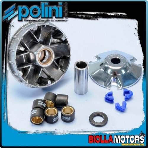 241 561 variatore polini - 241.561,