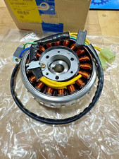 Gruppo elettrogeno magnetico