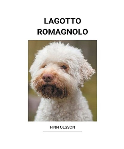 Lagotto romagnolo olsson - lagotto, romagnolo,