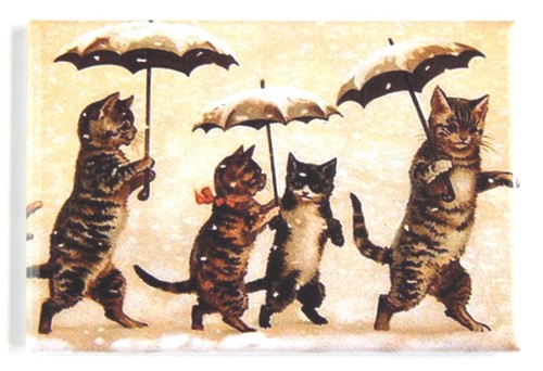 Gatti gattini con - e,
