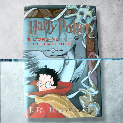 Harry potter ordine della - harry, e