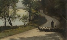 Uomo Su Bicicletta Shepherd