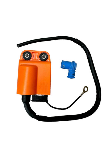 Centralina piaggio elettronica - piaggio,