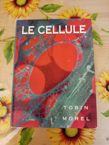 Cellule allan tobin - allan,