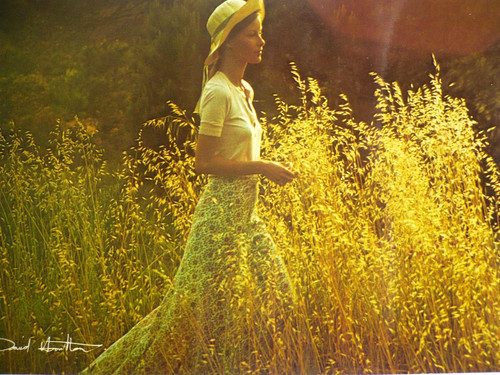 Carte postale david hamilton - carte,