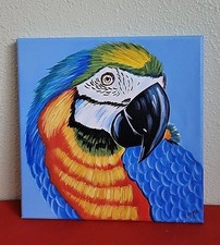 Quadro pappagallo ara blu e