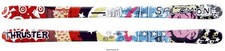 sci Salomon Thruster freeride