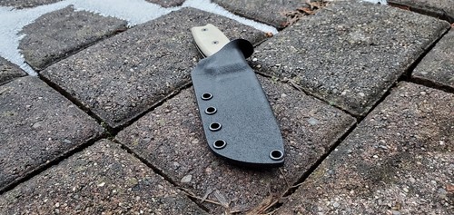 Ontario rat solo fodero - ontario,
