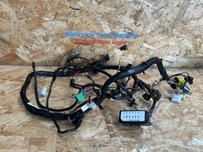 Kawasaki ER-5 9922KM Cablaggio