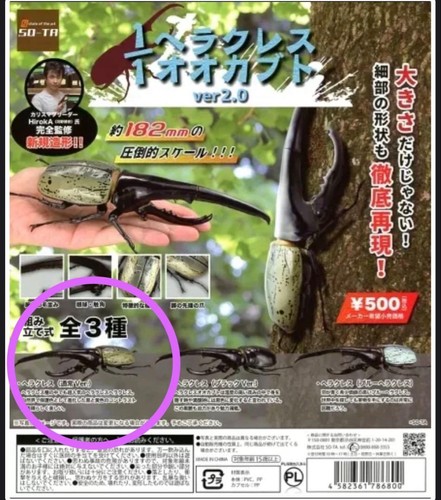 Ercole maggiolino gacha - ercole,