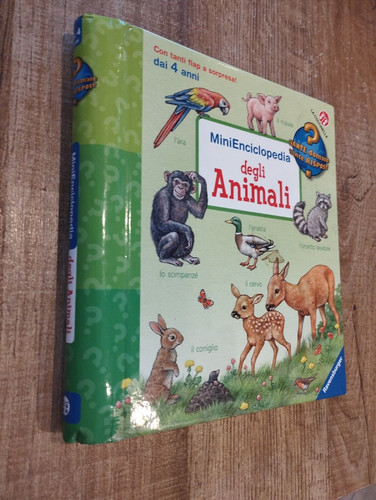 Libro con finestrelle mini - libro,
