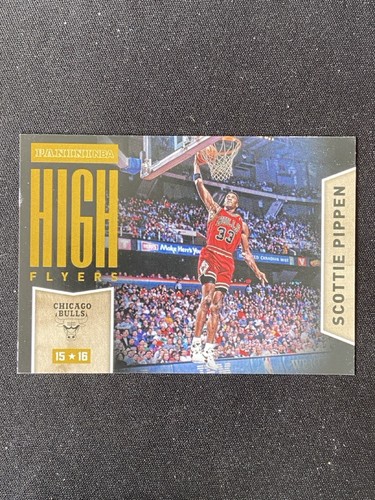Scottie pippen 2015 panini - 2015-16,