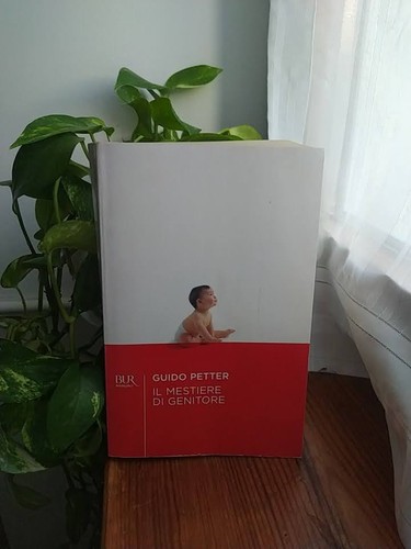 Mestiere genitore - di,