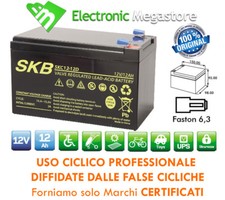 BATTERIA PIOMBO PLACCA
