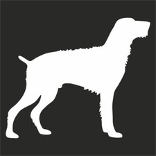 adesivo deutsch drahthaar Cane