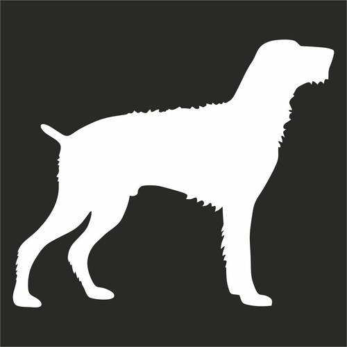 Adesivo deutsch drahthaar cane - adesivo,
