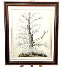 STAMPA ANTICA , '' FAMILLE DES