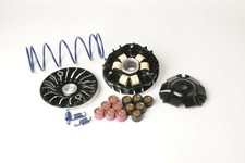 performance variator kit fits