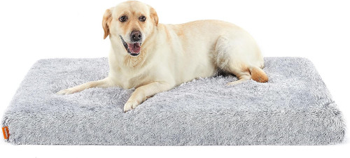 Cuccia per cani - cuccia, tappeto