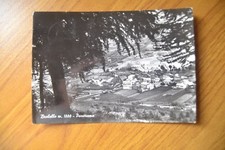 CARTOLINA BRALELLO PANORAMA VIAGGIATA 1952 SUBALPINA AA