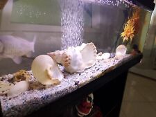 MTB Acquari Milo 100 LUXLINE Acquario - Nero, 117L