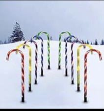 6 x Natale Pathway Candy Canna