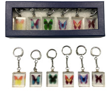 Set portachiavi farfalla - set,