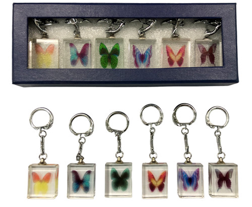 Set portachiavi farfalla nel - 6,