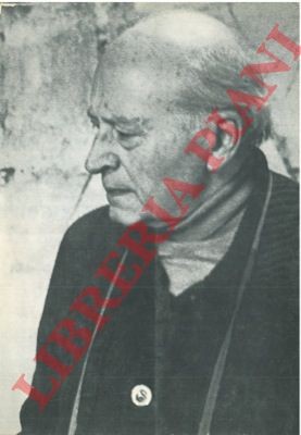 Solmi franco solarità - solmi,