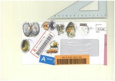 storia postale BUSTA RACCOMANDATA dal BELGIO a TERZIGNO